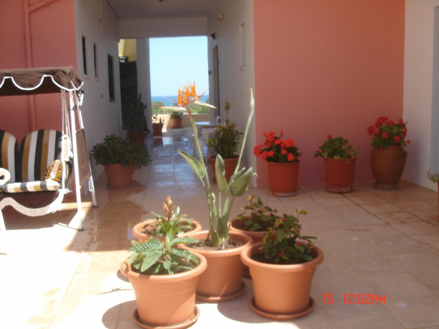 Rapanianá Iliaktida Apartments מראה חיצוני תמונה