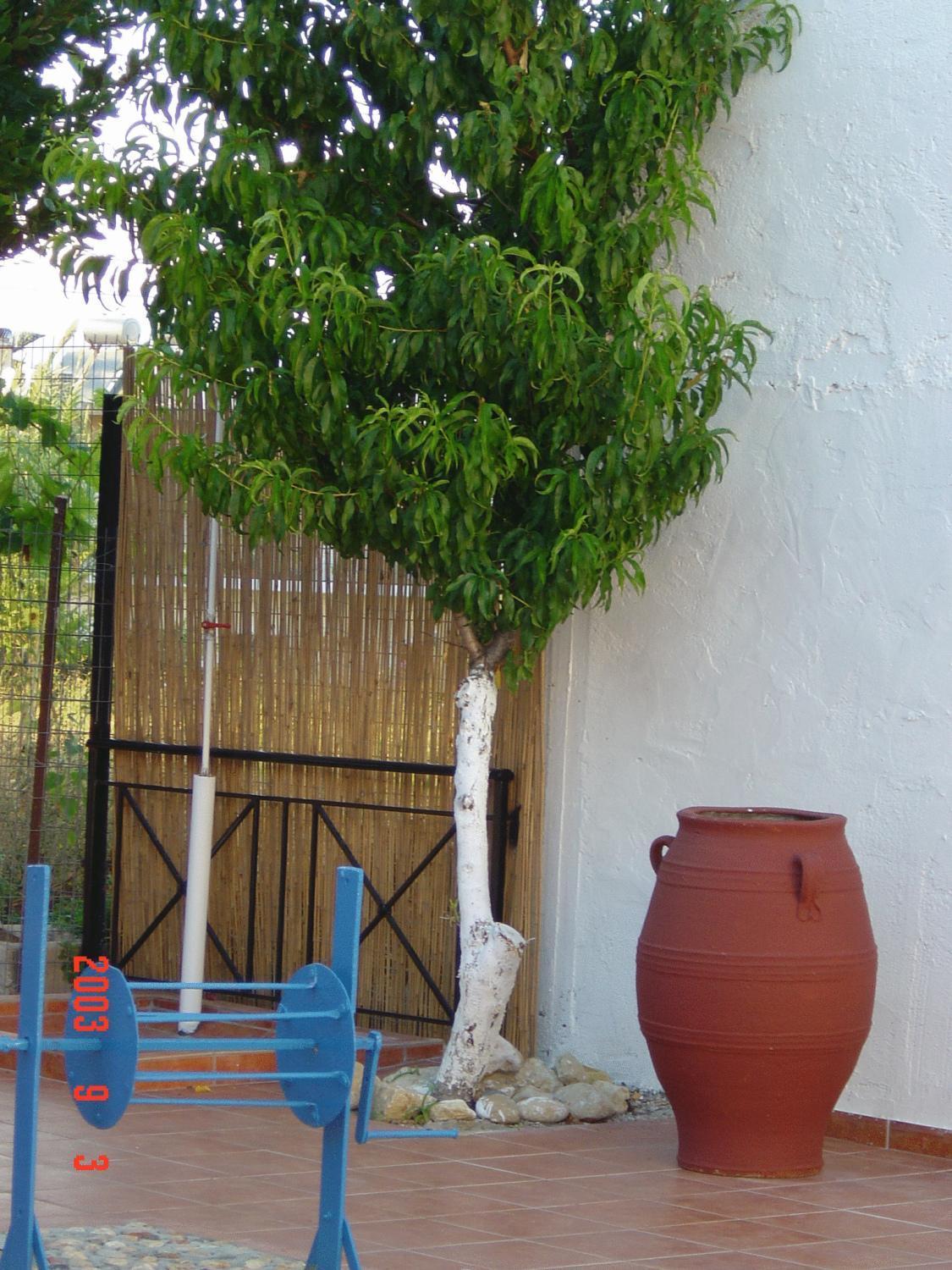 Rapanianá Iliaktida Apartments מראה חיצוני תמונה