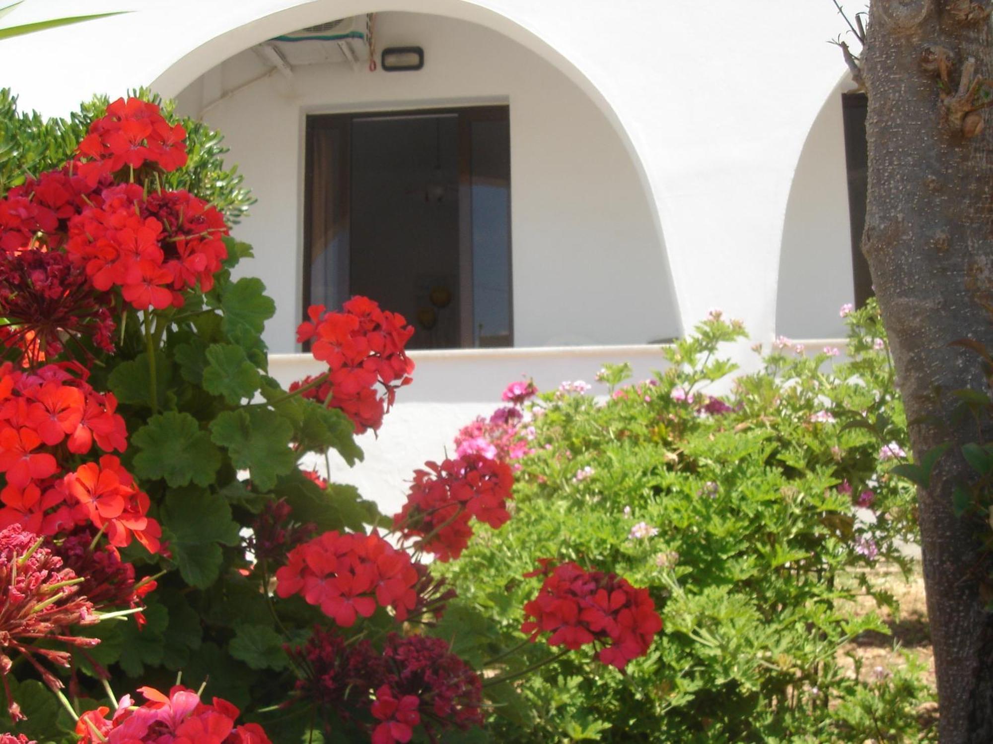 Rapanianá Iliaktida Apartments מראה חיצוני תמונה