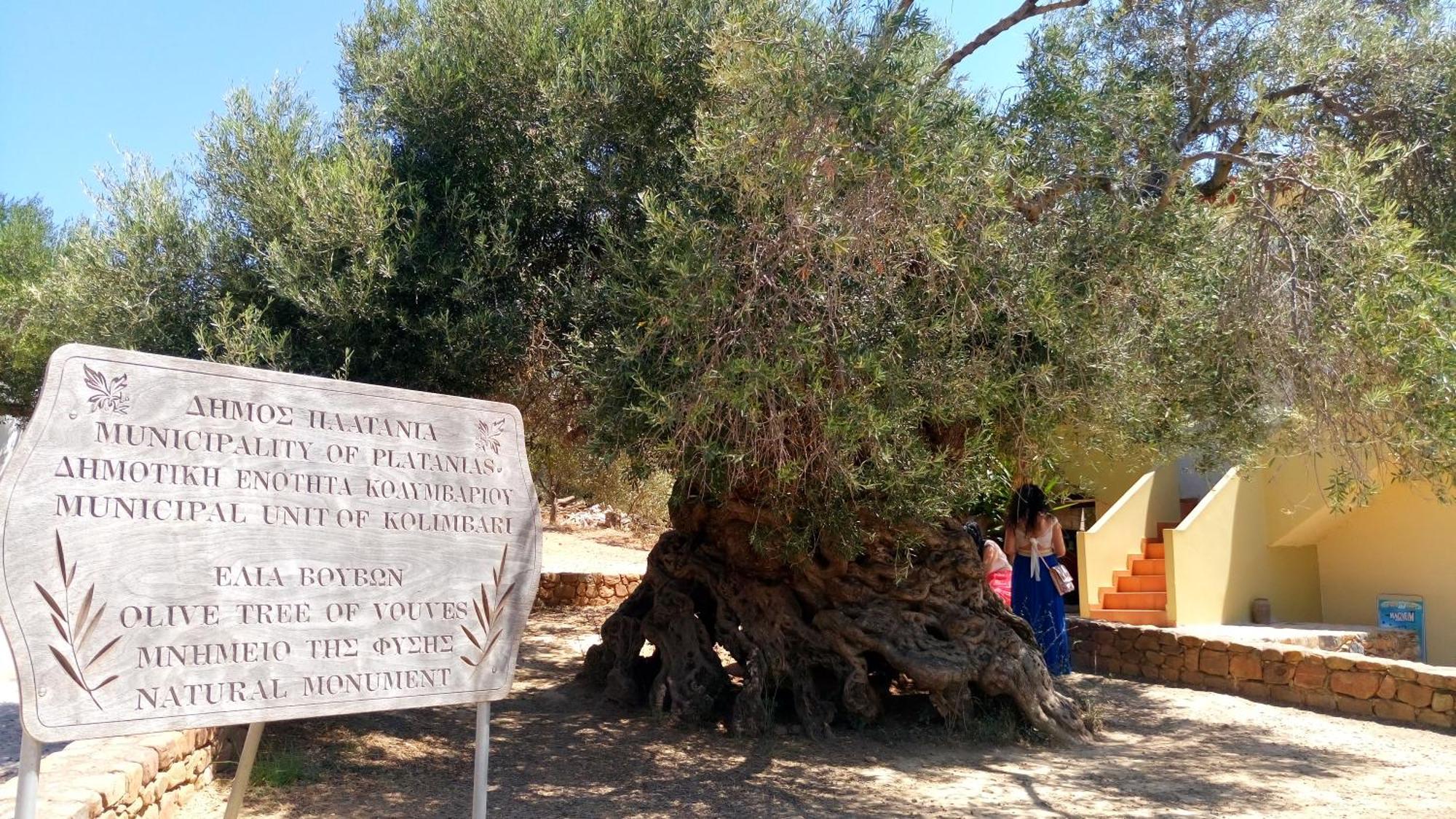 Rapanianá Iliaktida Apartments מראה חיצוני תמונה
