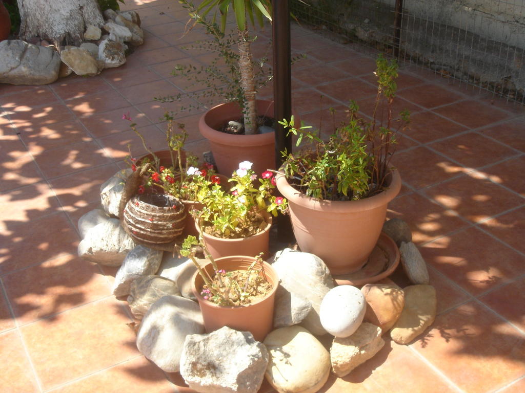 Rapanianá Iliaktida Apartments מראה חיצוני תמונה